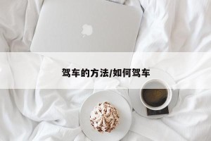 驾车的方法/如何驾车