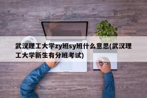 武汉理工大学zy班sy班什么意思(武汉理工大学新生有分班考试)